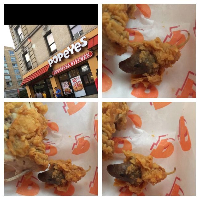 However, nothing is more disturbing than getting a deep fried rat head from Popeye's! If I found that in my chicken, I'd never eat again.
