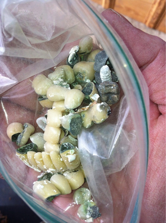 Do all funeral home workers keep rotting bags of teeth in their desk drawers?