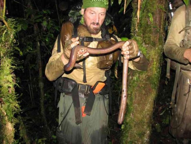 I guess this guy didn't have a problem with using his bare hands when he found this monstrosity in the Amazon. Anything for Instagram, right?