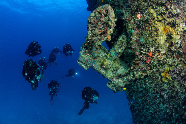 Others, like the SS Thistlegorm in the Red Sea, are world-famous diving locations.