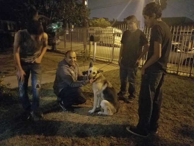 Since making the nightly news, local police were able to find TJ and reunite her with her distraught owners! TJ was found unharmed, and because details of her return are unknown, no arrests have been made.