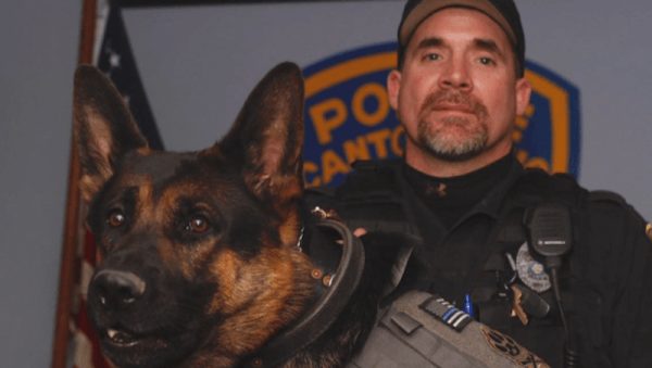 You may remember the <a href="https://funnymodo.com/jethro-dog/" target="_blank">heartbreaking story</a> of Jethro, the Canton Police Department K9 that was killed in the line of duty.