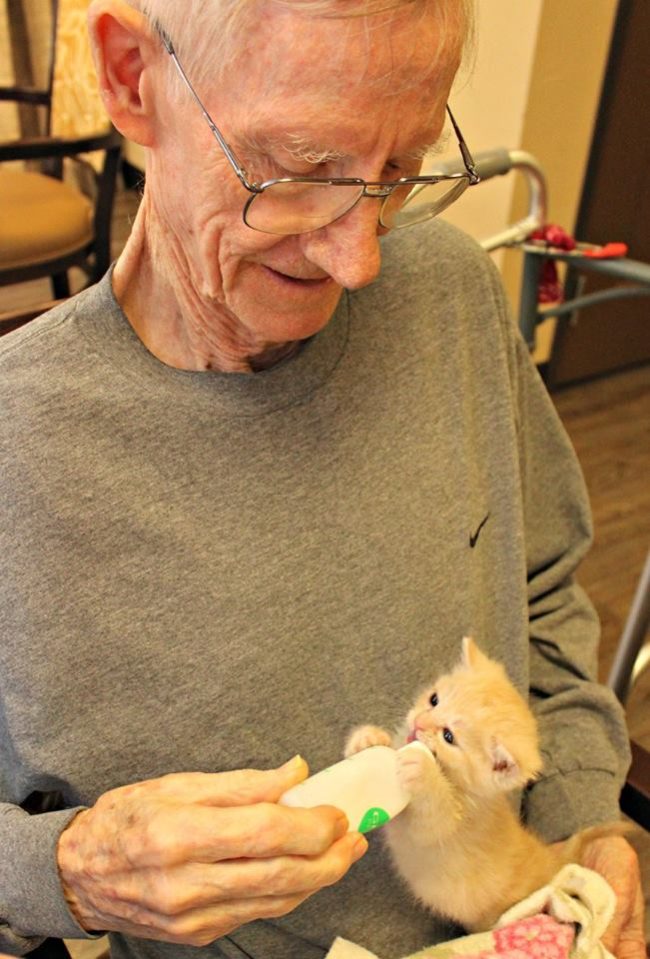 Rebecca Hamilton, the health director at Catalina Springs Memory Center, is no stranger to fostering kittens. She thought the "Bottle Babies" program would be perfect for her residents.