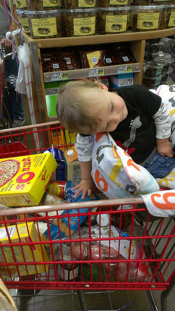 During a normal shopping trip, Vivienne Wardrop didn&rsquo;t think twice when she placed her 10-month-old son in the seat of her shopping cart.