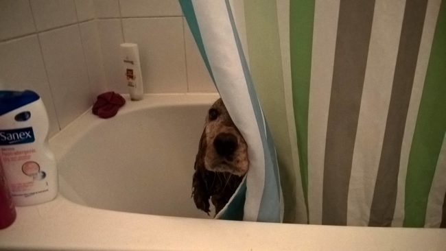 "You weren't planning on taking a shower, were you?"