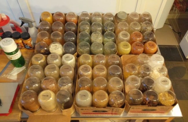 With around 70 large mason jars full of spices, the six cases that housed them threatened to take over his kitchen.