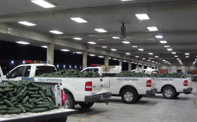 About 2,632 pounds of marijuana were found with a cucumber shipment at the Pharr-Reynosa International Bridge.
