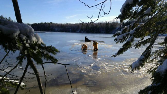 Thankfully, an eyewitness to the moose's polar plunge was able to call the local fire department and in a matter of minutes, these brave men were on the scene ready to rescue the moose.