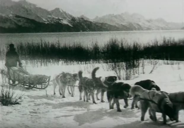 The historic <a href="https://en.wikipedia.org/wiki/1925_serum_run_to_Nome" target="_blank">1925 serum run to Nome</a>, also known as the Great Race of Mercy, began on January 27 with Wild Bill Shannon and his team of sled dogs.  After picking up the serum in Nenana, they traveled in brutal temperatures that reached negative 62 degrees Fahrenheit.  By the time they met the next team, Shannon's nose had turned black from frostbite and four of his dogs had died.
