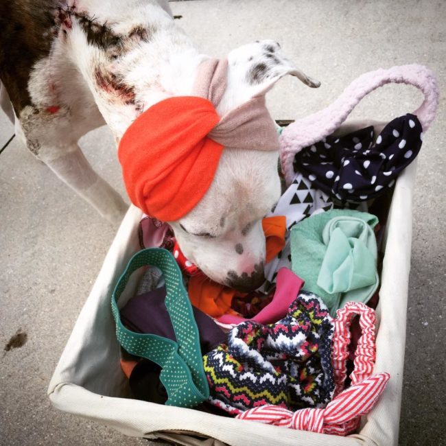 Abigail has so many bonnets, but she loves to pick a new one out each day.