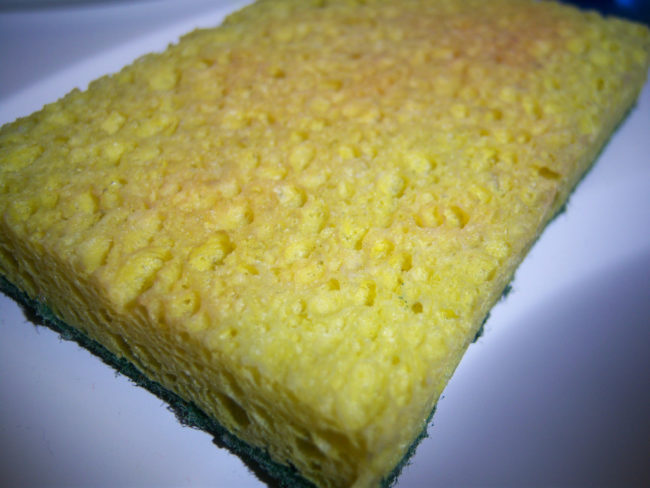 We all know how gross our sponges can get. You shouldn't use one for longer than two weeks.
