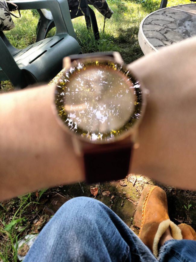 This watch was more determined to capture a tree than it was the time. 