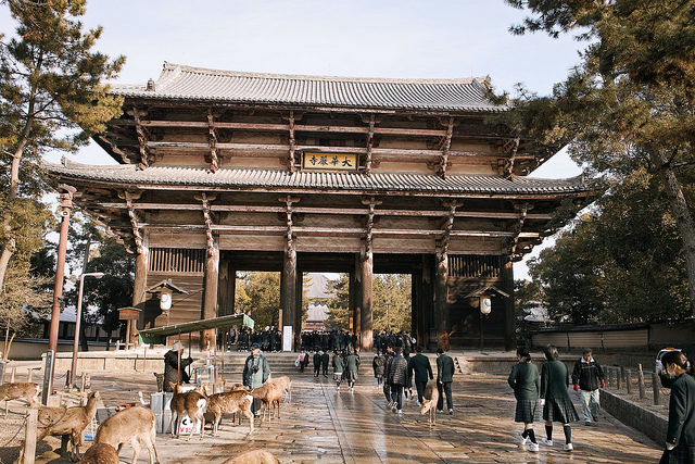 It might surprise you to learn that Nara, Japan, isn't known for its breathtaking architecture.