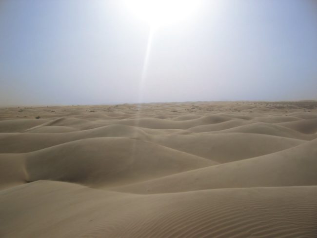 The Sahara Desert is often considered the driest and warmest region in the world with an average temperature of 86&deg;F.