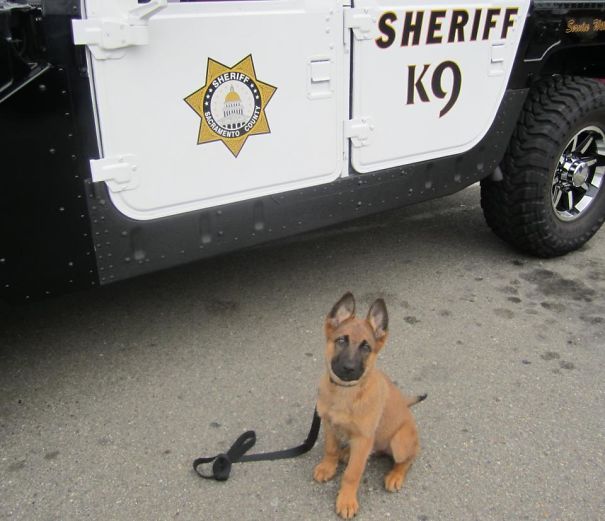 Proudly Wearing His Uniform