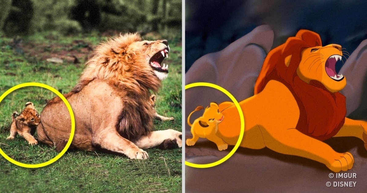 These 14 Animals Are Exact Copies of Our Favorite Animated Movie